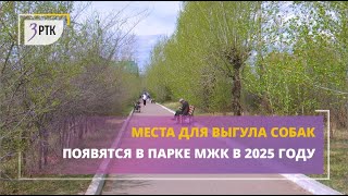 Места для выгула собак появятся в парке МЖК в 2025 году