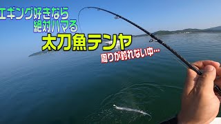 猛光テンヤで狙う銀色の魚太刀魚！エギング好きなら絶対はまる楽しさ！周りは釣れず諦める中テンヤの僕らは…