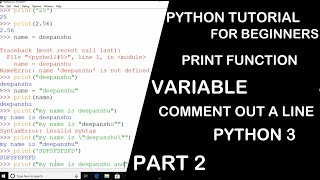 Print Function, Variable & Comments In Python | Python Tutorial In Hindi For Beginners