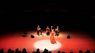 La Azulita Flamenco Ensemble - Vancouver International Flamenco Festival - Solea