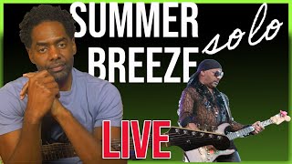 Summer Breeze by Ernie Isley Guitar Solo