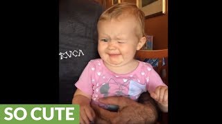 Baby makes hysterical face after tasting lemon