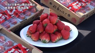 イチゴをオーストラリアに国内初輸出　岐阜県産の独自品種