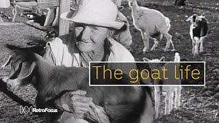 Elderly lady protects her goats on remote property (1970) | RetroFocus | ABC Australia