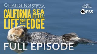 California Sea Otters: Life on the Edge - Full Episode