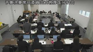 令和7（2025）年2月18日　予算決算常任委員会文教厚生分科会　1（子ども未来部）