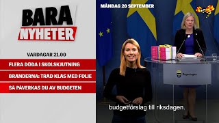 Klimat, utbildning och sänkt skatt – så påverkas du av regeringens höstbudget