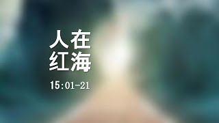 出埃及记第十九课：人在红海（15:1-21）。龙爪：哈萨克斯坦事变与西安孕妇江雪。中国没有好声音：习近平彭丽媛张嘉译闫妮。重庆爆炸青海地震：王岐山傅政华栗战书贾平凹。打不打疫苗：这是我们的立场。