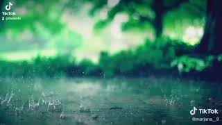 ★Slow Motion Rain Video★ What's App States