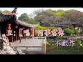 新胡不歸別妻【新曲】招錦裘子喉伴唱（原唱龍貫天甄秀儀）錦裘制作2024a121