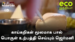 காய்கறிகள் மூலமாக பால் பொருள் உற்பத்தி செய்யும் ஜெர்மனி