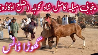 Amazing Horse Dance with Dhool in Pakistan || Mela kamil shah kohla okara || pakistan Horse Dance!