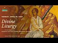 Divine Liturgy (Sunday of the Myrrh-Bearing Women) | April 30, 2023