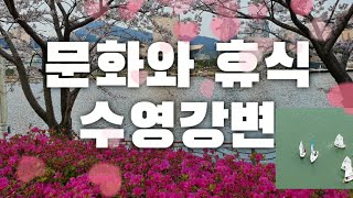 문화와 휴식공간-수영강변1