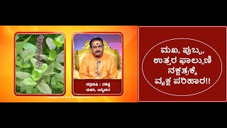 ಸಿಂಹ ರಾಶಿ -ರಾಶಿ, ನಕ್ಷತ್ರ, ಗ್ರಹಕ್ಕೆ ವೃಕ್ಷ ಪರಿಹಾರ -TREE THERAPY FOR SIMHA RASHI -Ep1284 08-Aug-2023