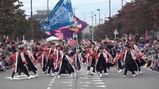 溝沼連合町内会朝霞溝連＠2016　つるせよさこい