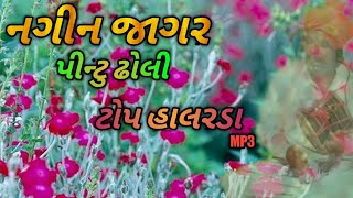 નગીન જાગર પીન્ટુ ઢોલ સાથે ટોપ હાલરડા  Nagin Jagar Pintu Dholi Top Harlda