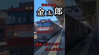 貨物列車 EH500-33 金太郎　#貨物列車#eh500金太郎 #サラリーマン金太郎