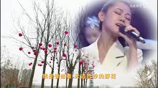 推荐一首梦然演唱的歌曲《野花》，太好听了，我是第一次听这歌