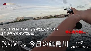 シーバス釣りVlog 今日の鶴見川 2023年8月31日（ホゲ）BRIST VENDAVAL 8.9Mでビッグベイト