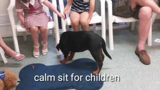 Rottweiler Joy