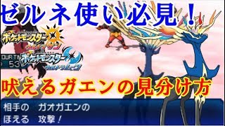 【ポケモンUSM実況】ゼルネ使い必見！？　吠えるガオガエンの見分け方！　【ダブルバトルS14 GS19 】