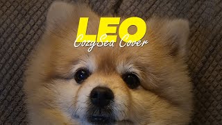 레오 Leo - 콧시 CozySea cover (원곡:優里 Yuuri - Leo)