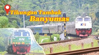 SPOT TIKUNGAN TAJAM‼️Berburu Kereta Api Dengan Kecepatan Tinggi Saat Melibas Tikungan di Tambak