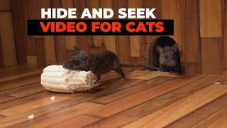CAT GAMES 😺 Hide and Seek Mice for Cats to Watch with Bird Sounds