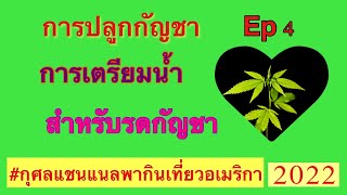 การปลูกกัญชา Ep 4 การเตรียมน้ำสำหรับรดค้นกัญชา #กุศลแชนแนลพากินเที่ยวอเมริกา