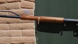 The Ljutic Space Gun
