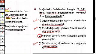 Süreç İzleme ve Değerlendirme Sınavı-2 (6.Sınıflar)