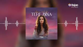 Tere Bina | Adnan Malik | Bajao Originals