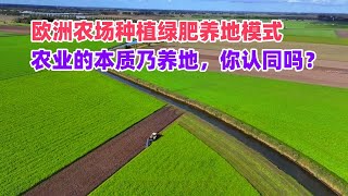 欧洲农场种植绿肥养地模式，农业的本质乃养地，你认同吗？