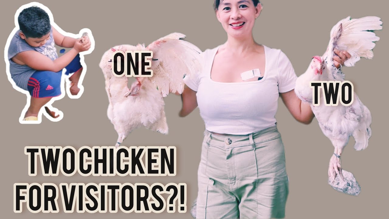 HOW TO BUTCHER AND PROCESS A CHICKEN STEP BY STEP #butchering #chicken ...