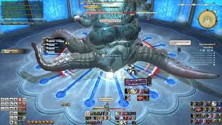 FFXIV Dohn Mheg Final Boss - NIN PoV