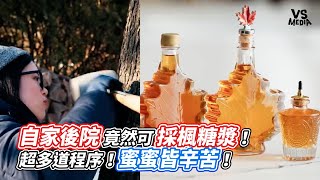 自家後院竟然可採楓糖漿！超多道程序！蜜蜜皆辛苦！｜VS MEDIAｘ @CiaoKitchen