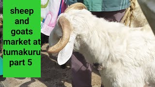 @AGRIANIMALS ಕುರಿ ಮತ್ತು ಮೇಕೆ ಸಂತೆ ಮಾರುಕಟ್ಟೆ ತುಮಕೂರು ಭಾಗ 5 sheep and goats market  at tumakuru 5