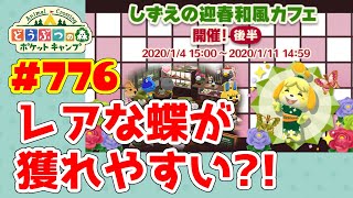 意外に早く終わるかも？！【ポケ森】#776 しずえの迎春和風カフェ★ガーデンイベント後半開始！