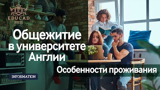 Общежитие в университете Англии: как это? Особенности проживания