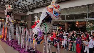 CNY2024 ~Acrobatic Lion Dance (múa lân 高桩舞獅表演) by Kwong Ngai 马来西亚光艺@ Setia City Mall, Malaysia