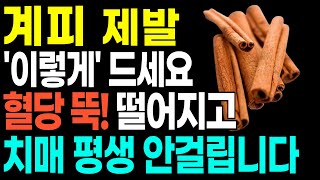 계피는 이렇게 드세요! 당뇨와 혈압 그리고 치매 예방합니다! 계피가 독이 되는 궁합과 보약되는 궁합 총정리!