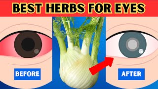 7 herbs that protect the eyes and repair vision | healthy herbs for eyes