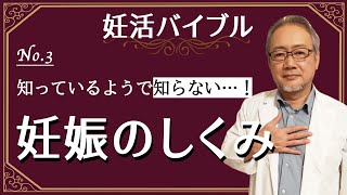 【妊活バイブル】いまさら聞けない卵子と精子の出会いについて