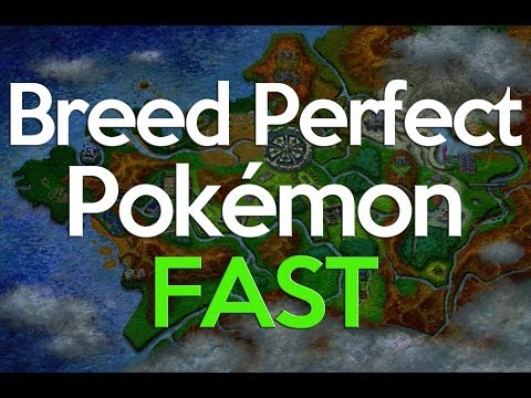 Breeding Perfect IVs Pokemon X and Y - the EASY method Breeding Perfect IVs Pokemon X and Y - the EASY method