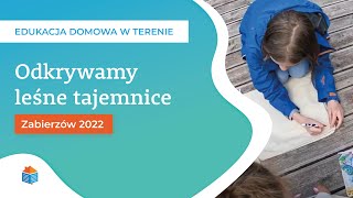 🔸 Uczyliśmy się w lesie?! | Edukacja domowa w terenie 🔸