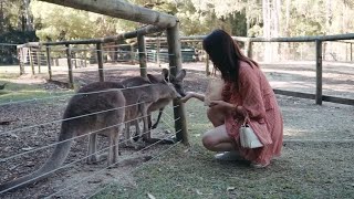 打卡全澳洲最大热带水果园，吃果果投食小动物，一起来看看吧