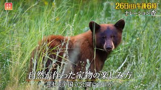 『世界遺産』11/26(日) ヨセミテ国立公園 〜 自然が作った宝物の楽しみ方【TBS】