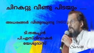 chirakattu Veenu Pidayum(ചിറകറ്റു വീണു പിടയും )/ Yesudas /[Suresh Music channel]