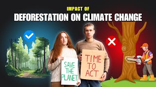 Deforestation's SHOCKING Impact on Climate Change!